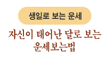 Ʈ